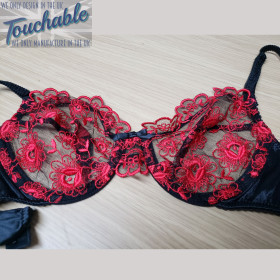 Embroidered red plunge cup bra